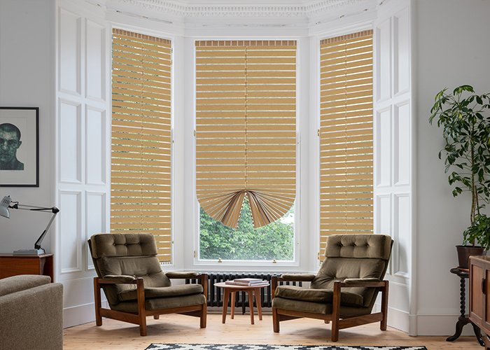 Patricia Blinds-4