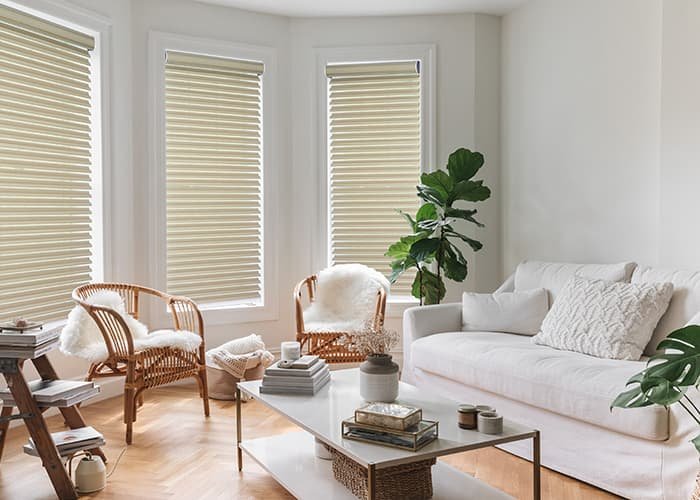 grayson blinds-9